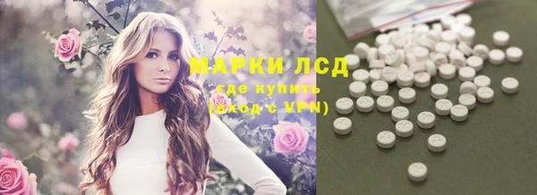 ешки Богданович