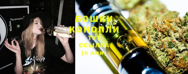 apvp Богородск