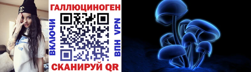 KRAKEN ссылка  Улан-Удэ  Галлюциногенные грибы Psilocybine cubensis 