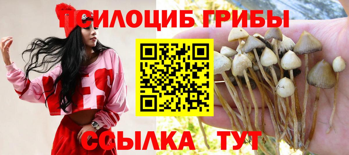 Улан-Удэ  купить  цена  Вход с VPN  Галлюциногенные грибы ЛСД 